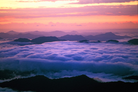LS133 Morning Mist, Escarpment view, New England National Park NSW